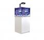 Preview: Red Sea Reefer XL 200 Deluxe Meerwasseraquarium Komplettset Preview: Red Sea Reefer XL 200 Deluxe Meerwasseraquarium Komplettset